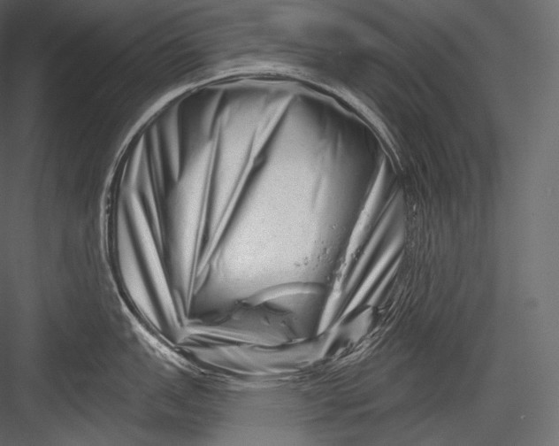 X0000082961151200702222333