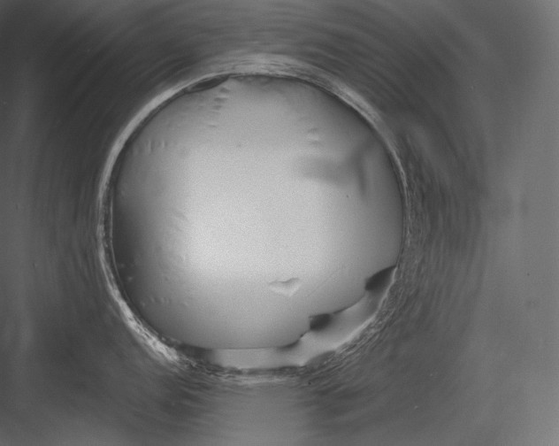 X0000082961152200702222333