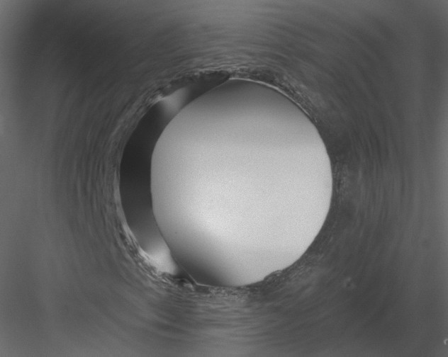 X0000082961153200702222332