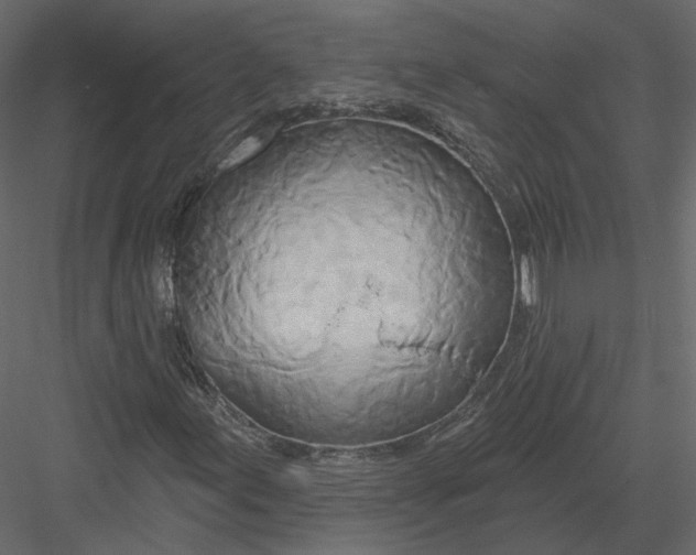 X0000082961155200702222332