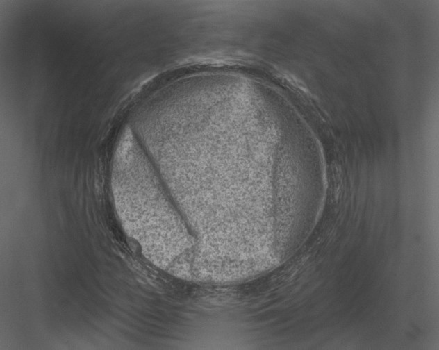 X0000082961158200702222332