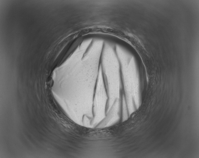 X0000082961159200702222332