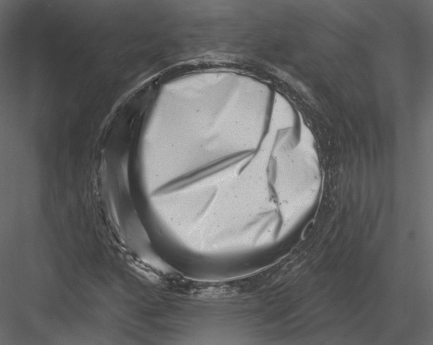 X0000082961160200702222332