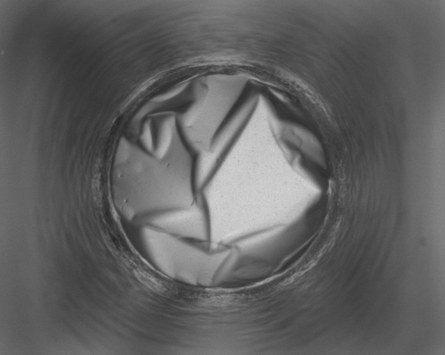 X0000082961162200702222332