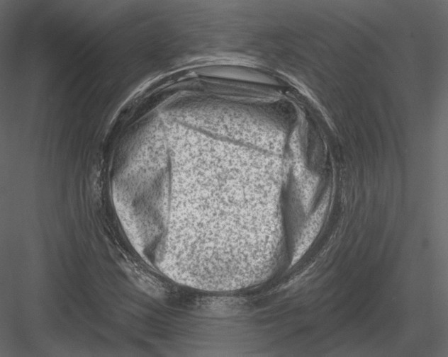 X0000082961163200702222332