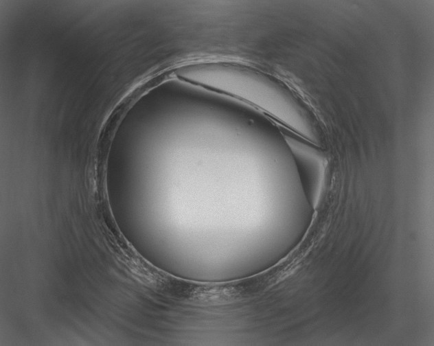 X0000082961165200702222332