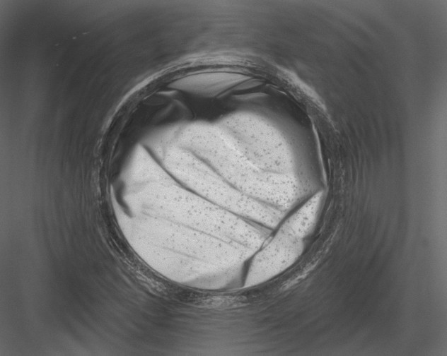 X0000082961166200702222332