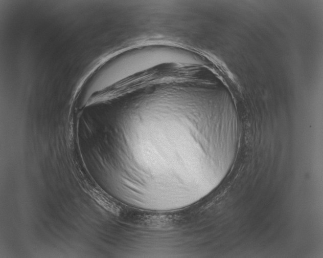 X0000082961167200702222332