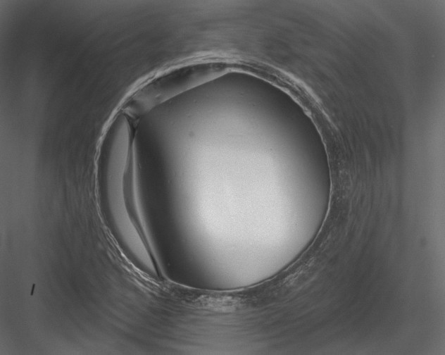 X0000082961168200702222332