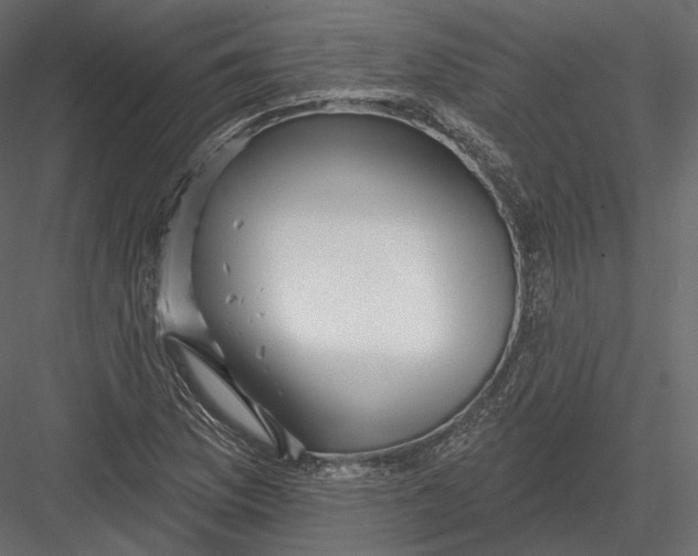 X0000082961169200702222332