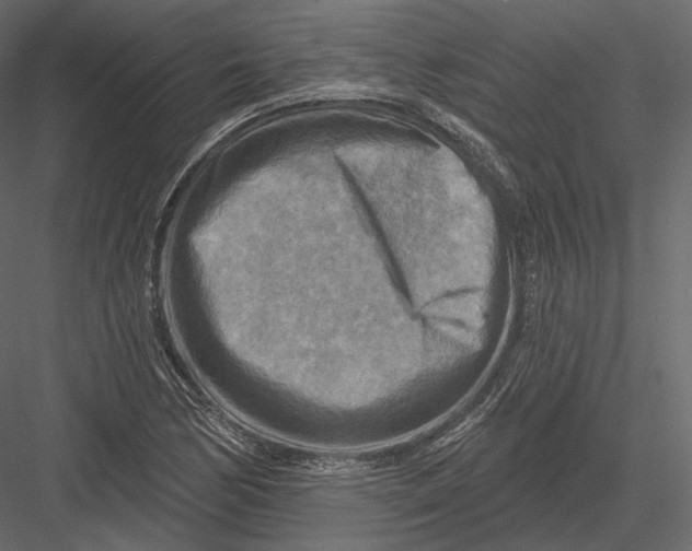 X0000082961170200702222332