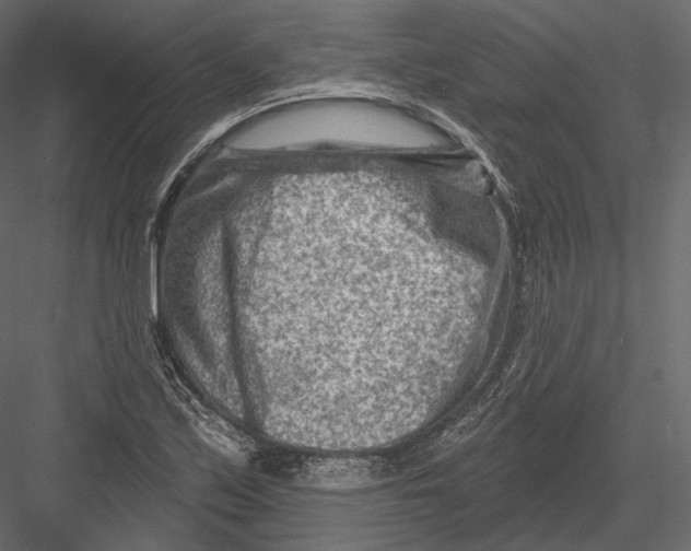 X0000082961171200702222332