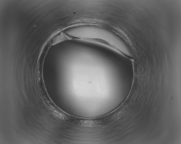 X0000082961172200702222332