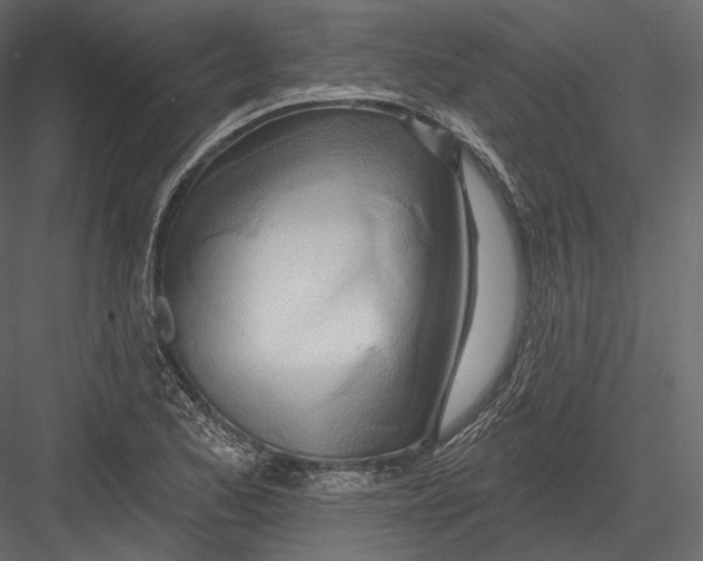 X0000082961173200702222332