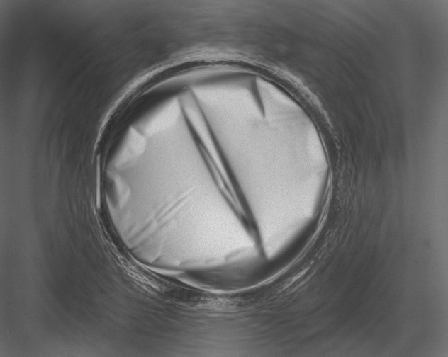 X0000082961175200702222332