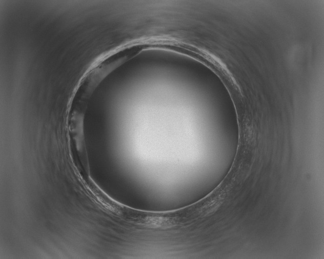 X0000082961176200702222332