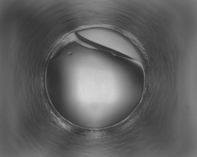 X0000082961177200702222332