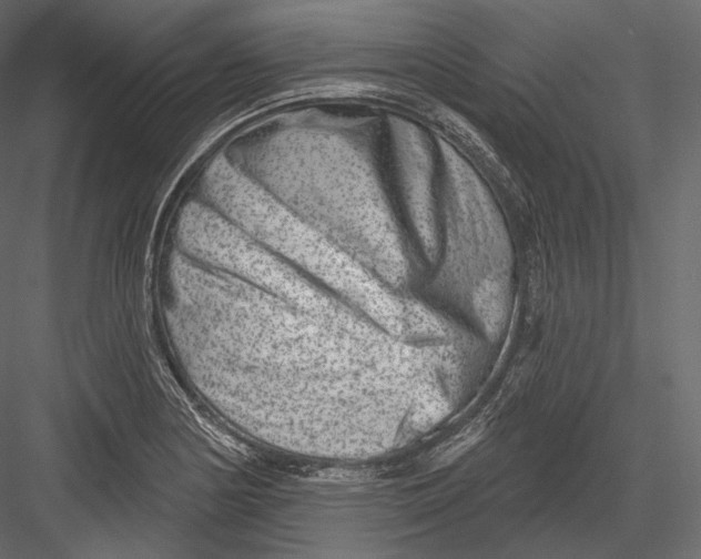 X0000082961178200702222332