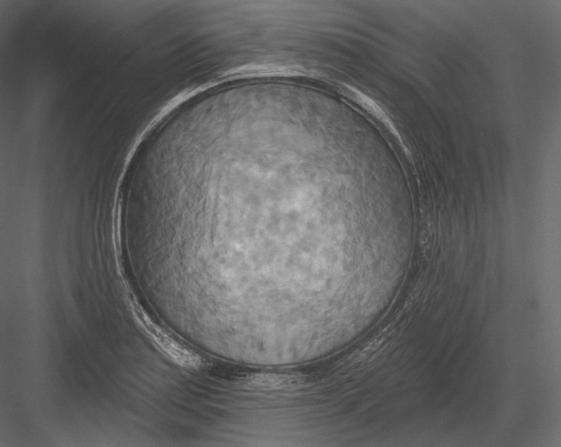 X0000082961179200702222332