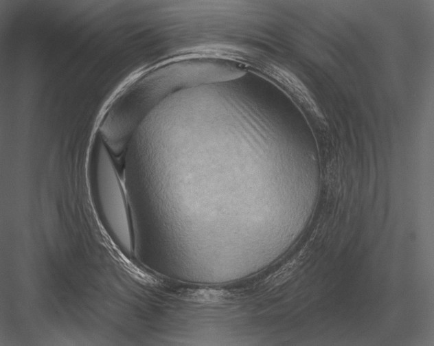 X0000082961180200702222332