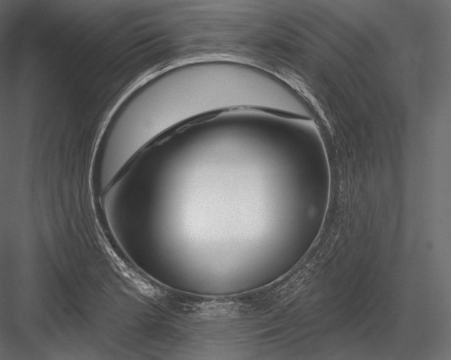 X0000082961181200702222332