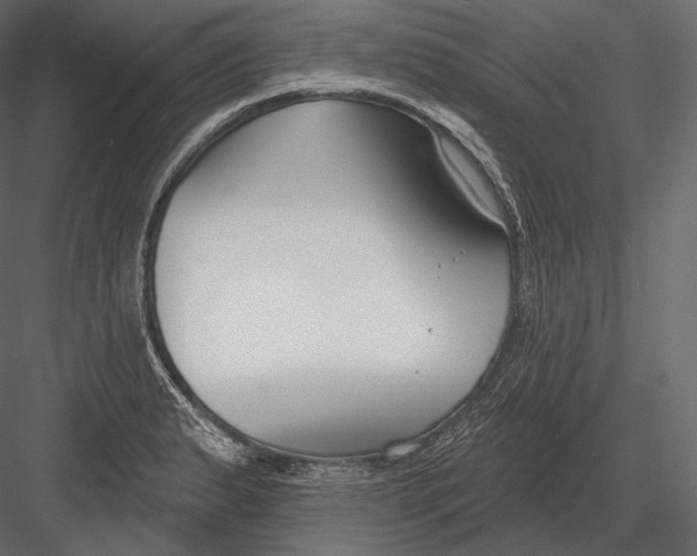 X0000082961183200702222332