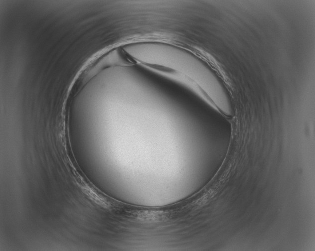 X0000082961184200702222332