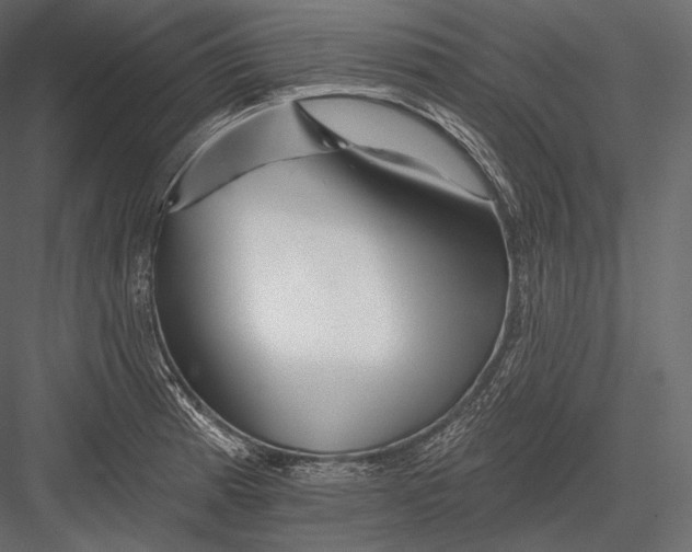 X0000082961185200702222332