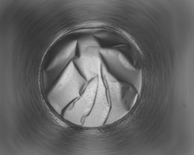 X0000082961186200702222332