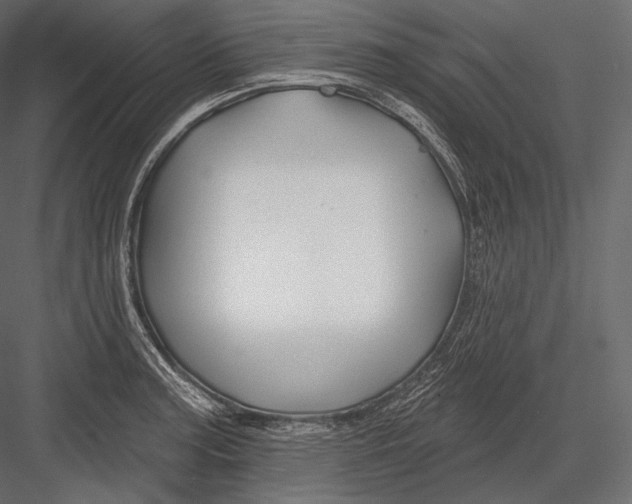 X0000082961187200702222332