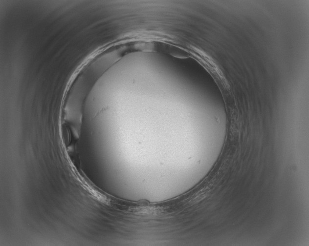 X0000082961188200702222332