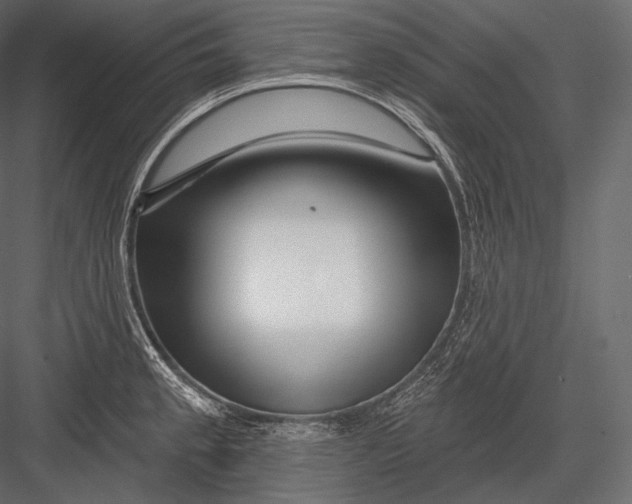 X0000082961189200702222332