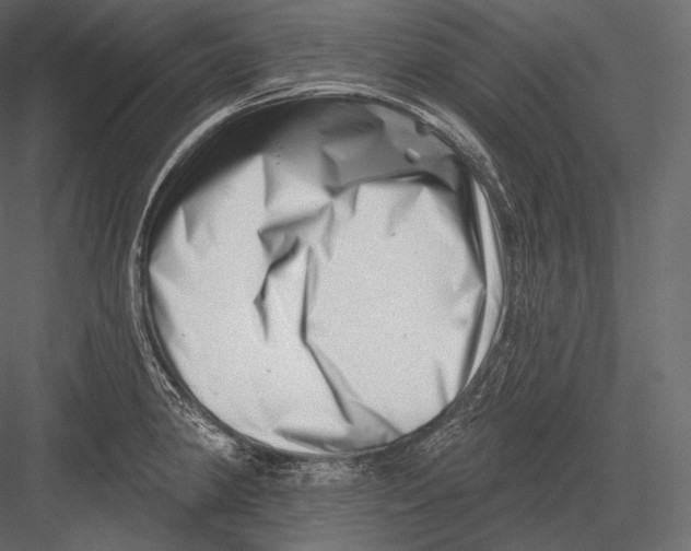 X0000082961190200702222332