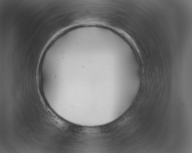 X0000082961191200702222332