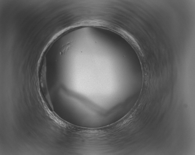 X0000082961192200702222332