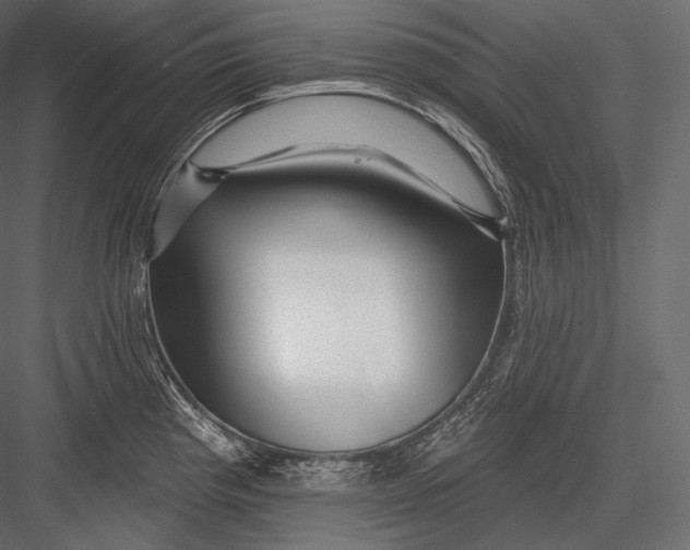 X0000082961193200702222332