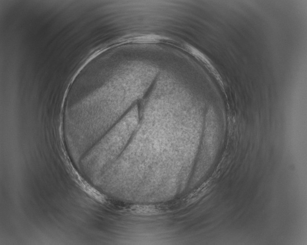 X0000082961194200702222332