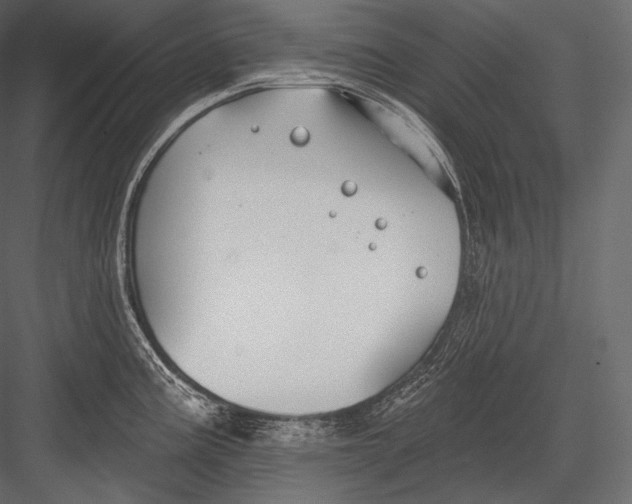 X0000082961195200702222332