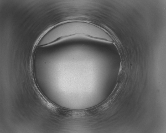 X0000082961196200702222332