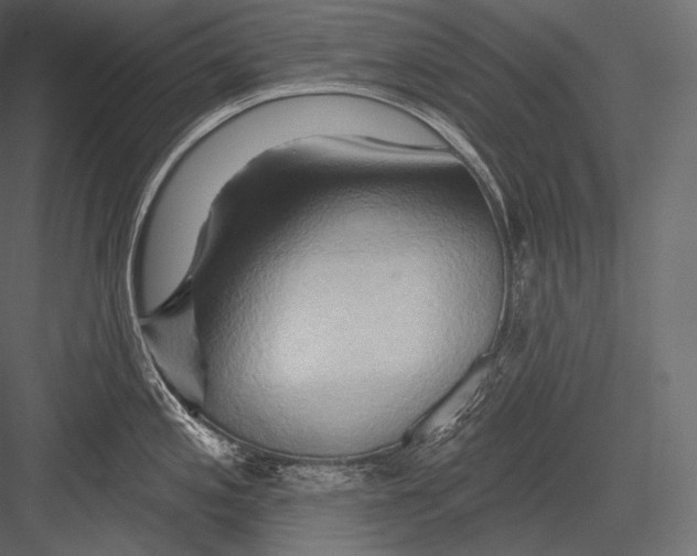 X0000082961197200702222331