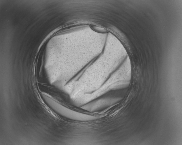 X0000082961198200702222331