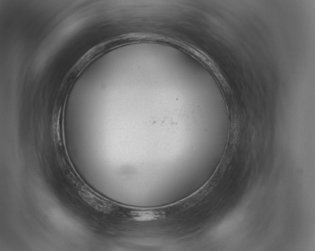 X0000082961199200702222331