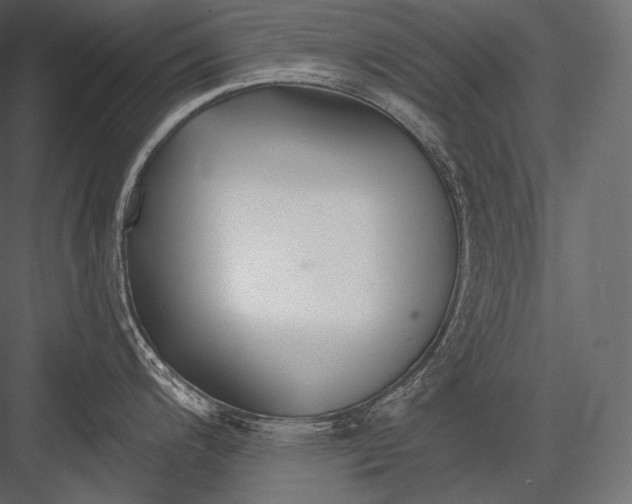 X0000082961200200702222331