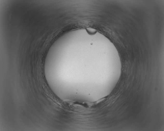 X0000082961201200702222331