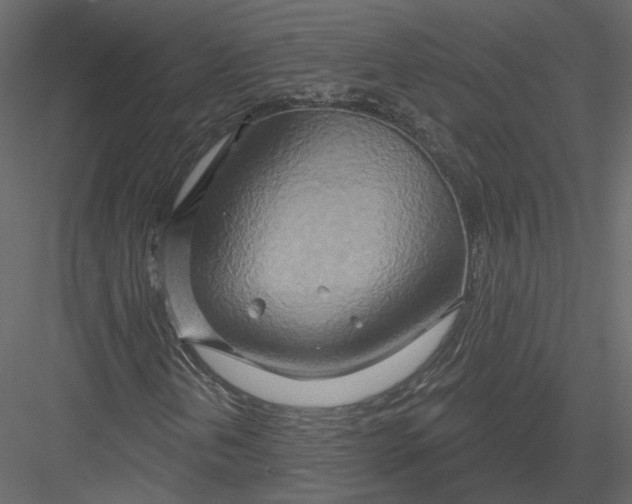 X0000082961202200702222331