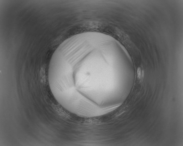 X0000082961203200702222331