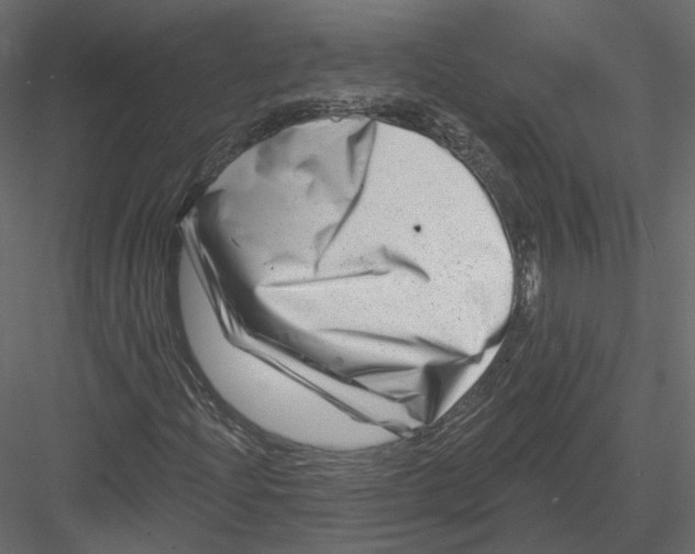 X0000082961204200702222331