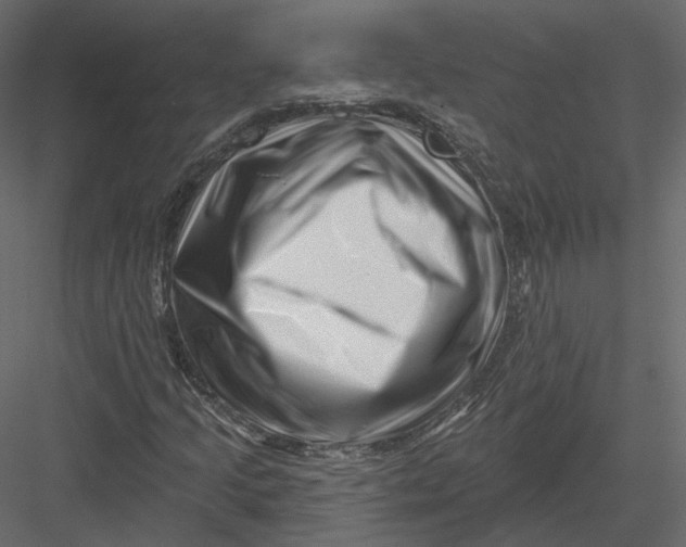 X0000082961205200702222331