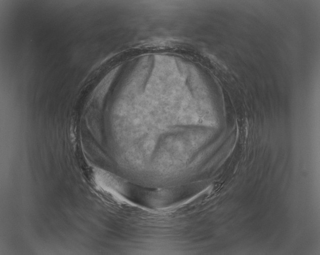 X0000082961206200702222331