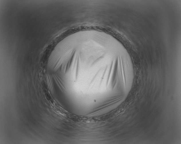 X0000082961207200702222331